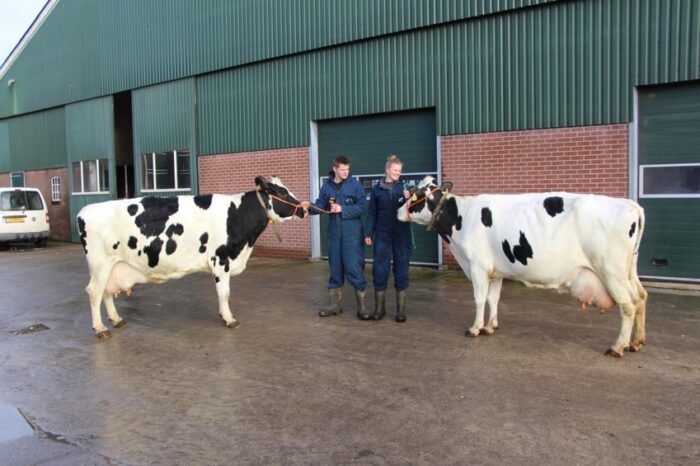 2 halfzussen met 100.000 kg melk