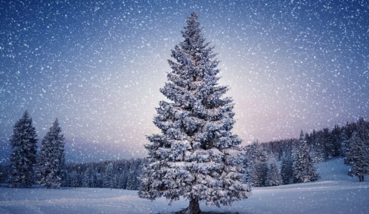 Kerstwens