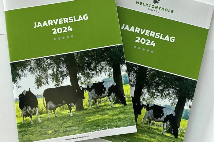 Jaarverslag 2024