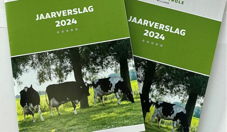 Jaarverslag 2024